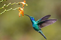 Image by James Wainscoat