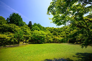 Image by Kouji Tsuru