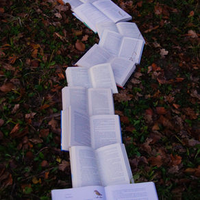 World Book Day 