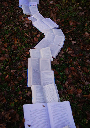 Image by Laura Kapfer