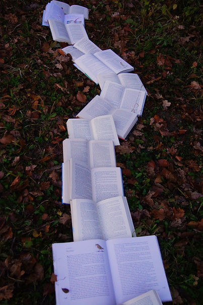 Image by Laura Kapfer
