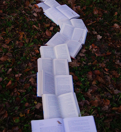 Image by Laura Kapfer
