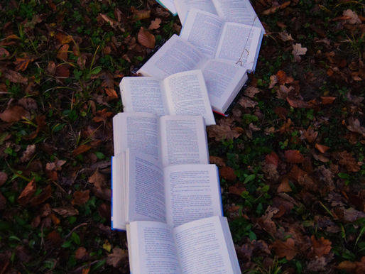 Book Recommendations