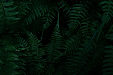 Image by Kendal