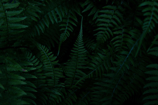 Image by Kendal