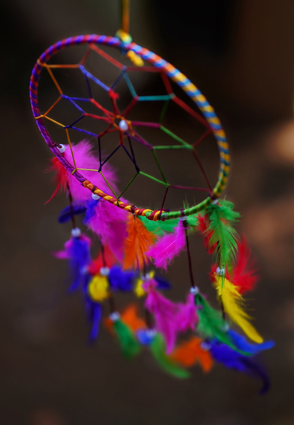 National Indigenous Peoples Day-Dream Catchers