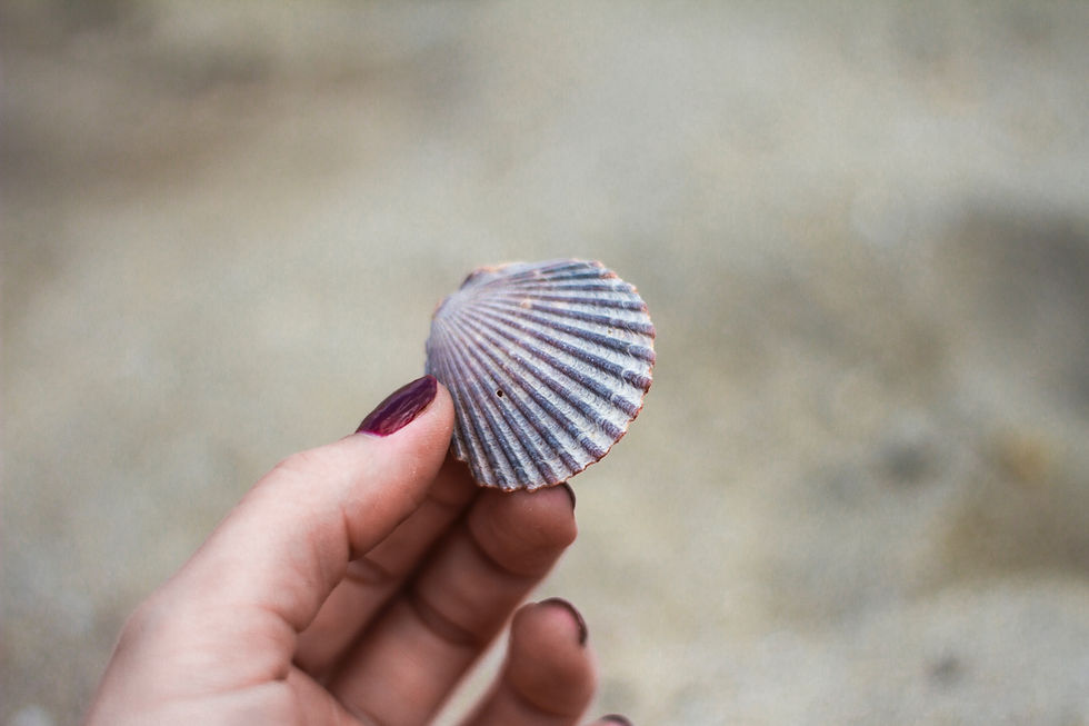 mermaid treasures