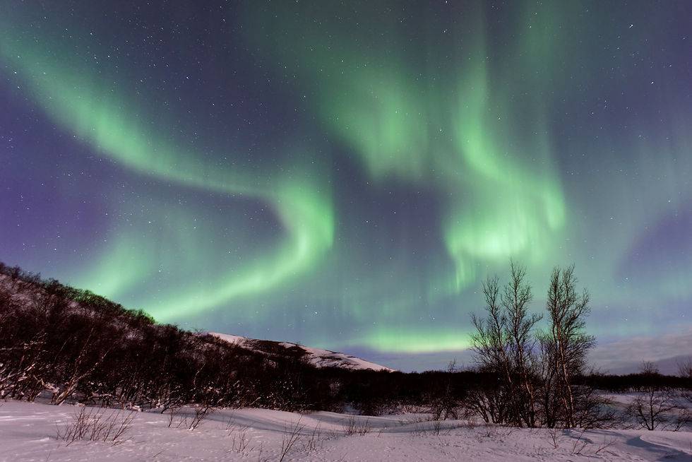Winter: honoring the season of fear and wisdom