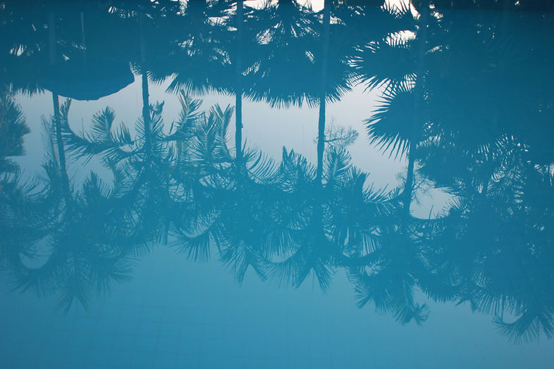 Image by Cole Patrick