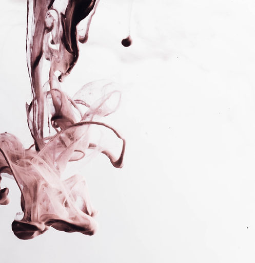 Image by CHUTTERSNAP