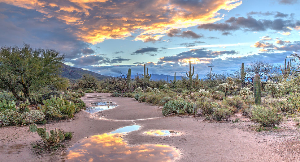 sunrise in arizona desert with rain pools reflecting the morning sky - symbolic of transformation and new clarity after ketamine treatment