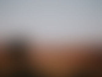 photographer in a field