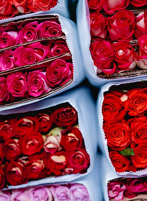 With Juanita's Flower, enjoy the highest quality and widest variety of uniquely curated Valentine's Day flowers and flower arrangements