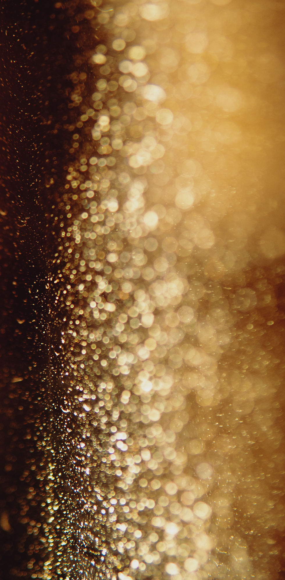 Image by Nicolas Gras