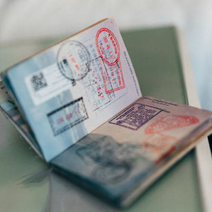 Visa Processing