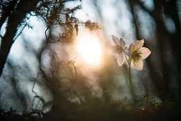 Image by pierangelo bettoni