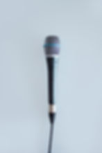 Mike Speaker