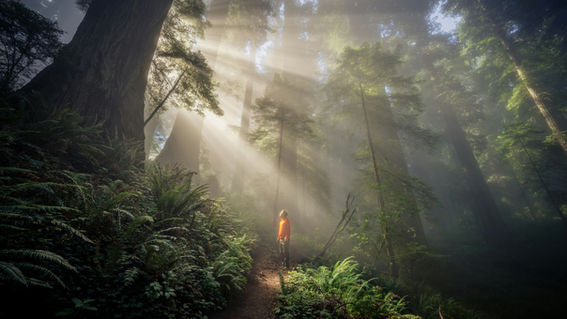 什麼是「轉運道法」?