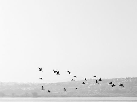 Ecuanimidad: el sentido auténtico de permanecer