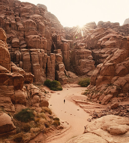 Image by NEOM