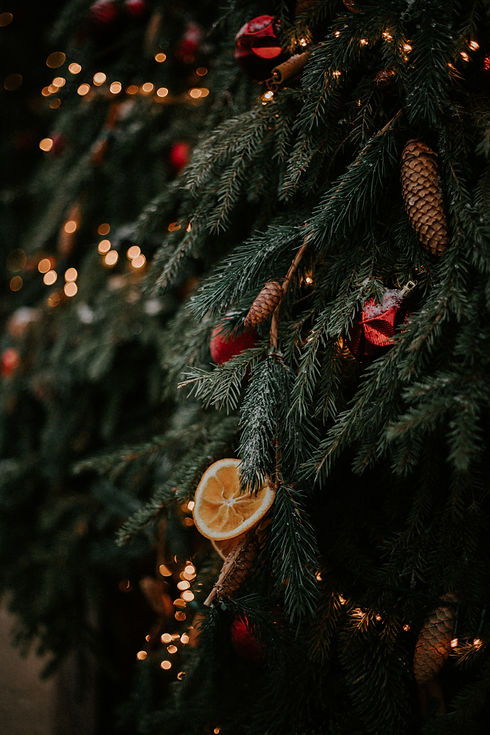Image by Alsu Vershinina