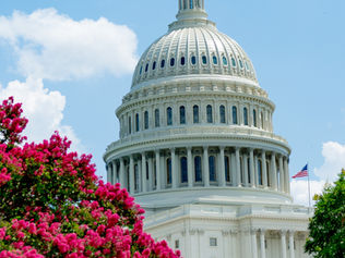 Calls to Action: Federal Legislation Supporting Cross-Sector Community Coalitions