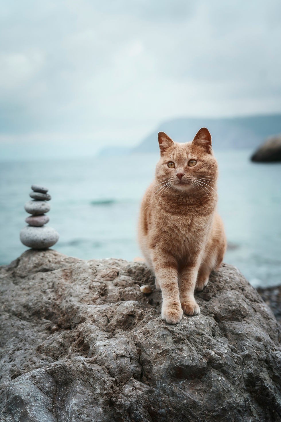 Image by Veta Aprel
