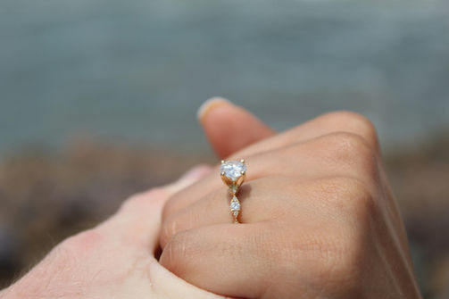 Surprise Wedding Proposal Photographer