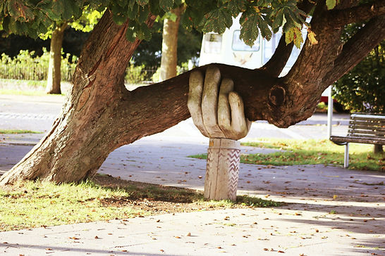 Hände halten einen Baum – Symbol für Unterstützung, Stabilität und ganzheitliche Begleitung