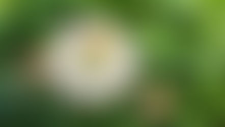 Comment être sûr qu'on médite bien? Flash tip #2