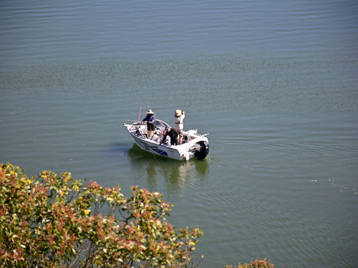 Cumberland River Fishing