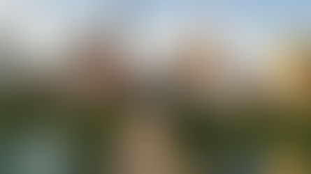 Your Austin Relocation Experts: Hastings and Novak Estates