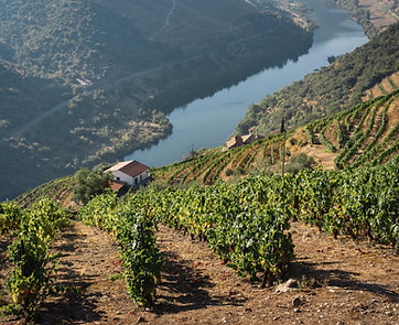 Wijnreis 2026 - Voorschot