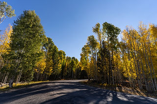 Image by Paulius Dragunas