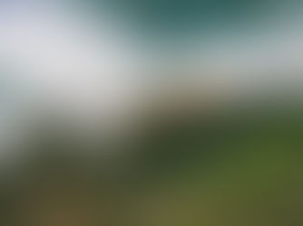 restaurants Northern Beaches Sydney