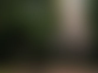 Forgotten Spiritual Tools: How to Reconnect with Ancient Wisdom