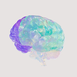 A see-through brain tinted dark and light blue