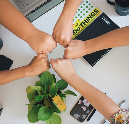 Image by Antonio Janeski