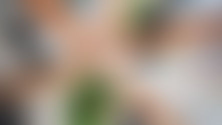 AAL / HSBC upgrades NVDA / ARM IPO / US debt / Moody's banks / Jackson Hole & BRICS meeting