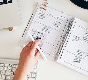 Image by Marissa Grootes