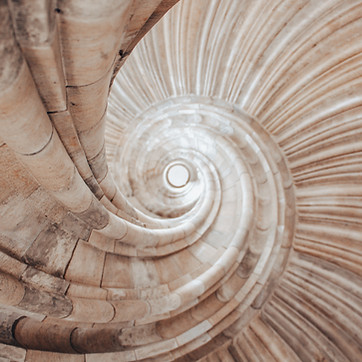 Image de Dana Ward