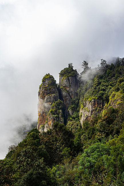 Image by Sounak Mukherjee