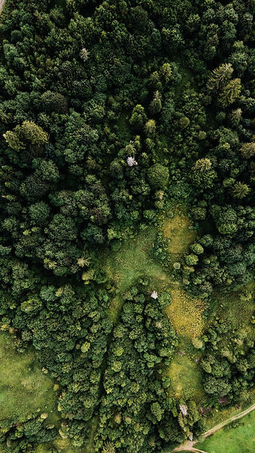 Image by Olena Sergienko