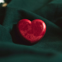 Image by Dhaya Eddine Bentaleb