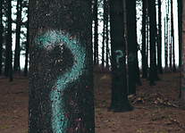 Image by Evan Dennis