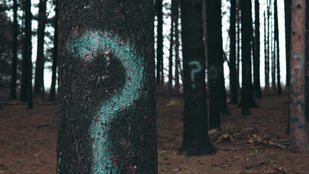 Are Your Discovery Questions Winning Deals or Killing Them?