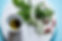 Ayurvedic Ingredients