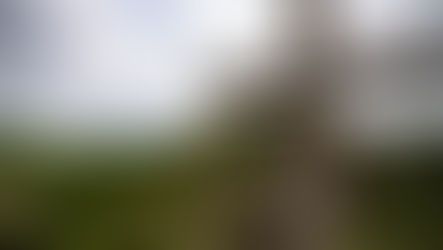 Good Friday by William Challis