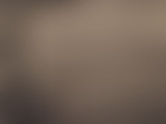 Book Publishers in Newport, Delaware