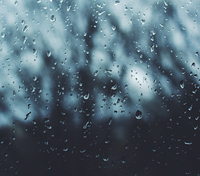 Image by Noah Silliman